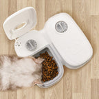 Dispenser de Comida Automático Inteligente